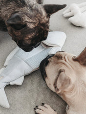       Lambwolf-Collective-jouet-fouille-design-minimalist-pour-chien-truite