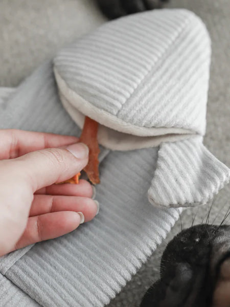       Lambwolf-Collective-jouet-fouille-design-minimalist-pour-chien-truite
