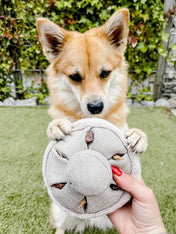    Lambwolf-Collective-jouet-fouille-design-pour-chien-guu-champignon