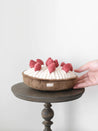       Lambwolf-Collective-jouet-fouille-enrichissement-design-minimalist-pour-chien-tarte-fraise