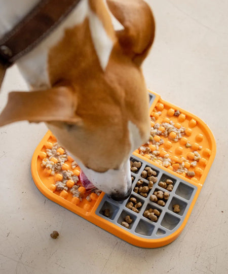    Lickimat-tapis-lechage-occupation-chien-slomo-orange