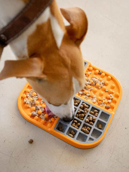    Lickimat-tapis-lechage-occupation-chien-slomo-orange