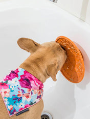        Lickimat-tapis-lechage-occupation-chien-splash-orange