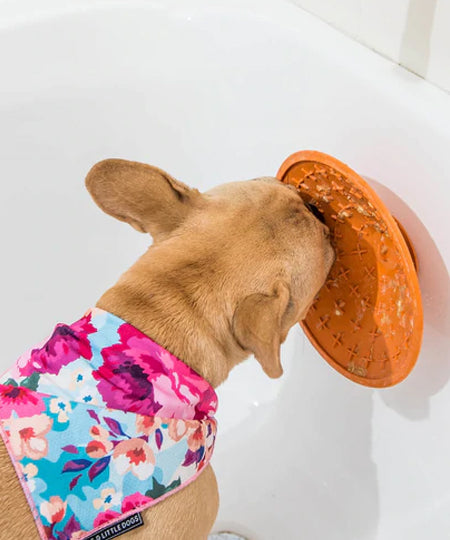        Lickimat-tapis-lechage-occupation-chien-splash-orange