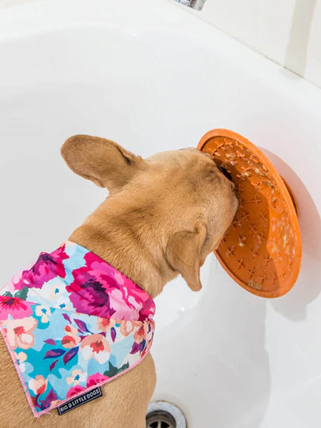        Lickimat-tapis-lechage-occupation-chien-splash-orange