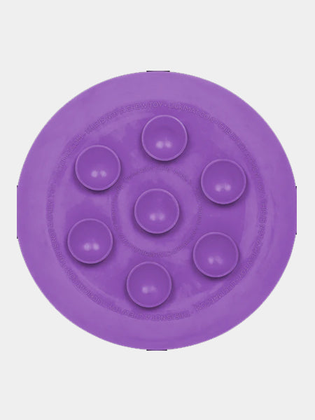       Lickimat-tapis-lechage-occupation-chien-ufo-violet