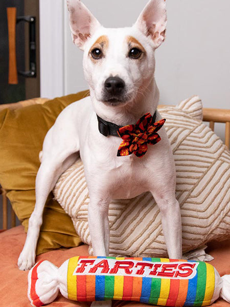    Lulubelles-peluche-pour-chien-farties
