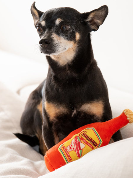 Lulubelles-peluche-pour-chien-hot-Chihuahua