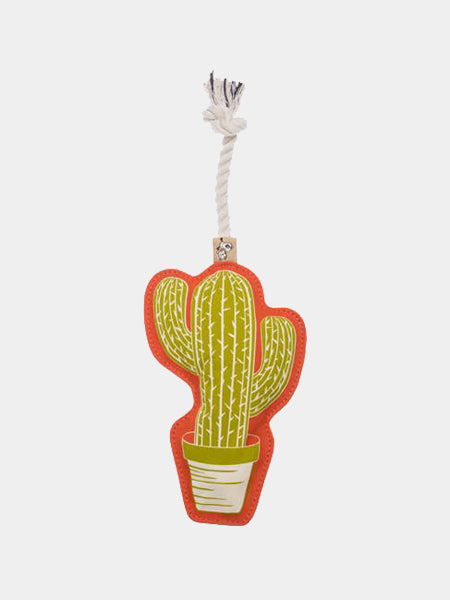    Ore-pet-Ore-original-jouet-corde-chien-cactus
