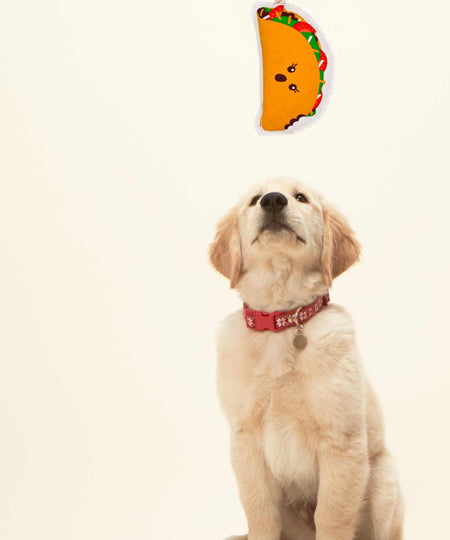    Ore-pet-Ore-original-jouet-corde-chien-tacos