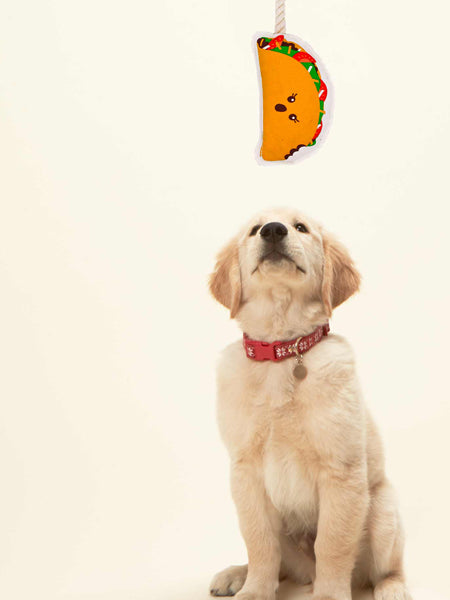    Ore-pet-Ore-original-jouet-corde-chien-tacos