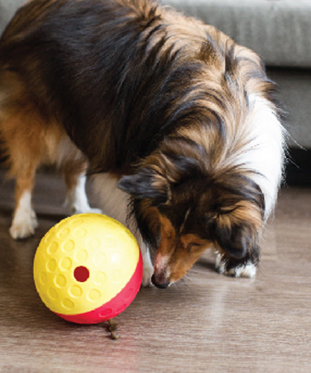       Outward-hound-jouet-interactif-puzzle-Tumble-pour-chien-large-rouge