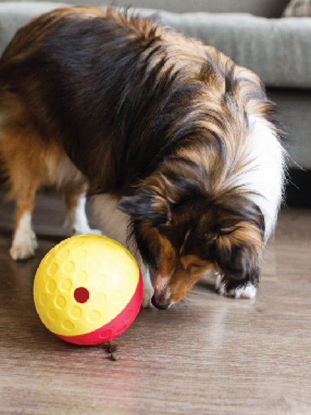       Outward-hound-jouet-interactif-puzzle-Tumble-pour-chien-large-rouge