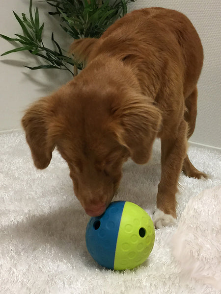        Outward-hound-jouet-interactif-puzzle-Tumble-pour-chien-small-bleu
