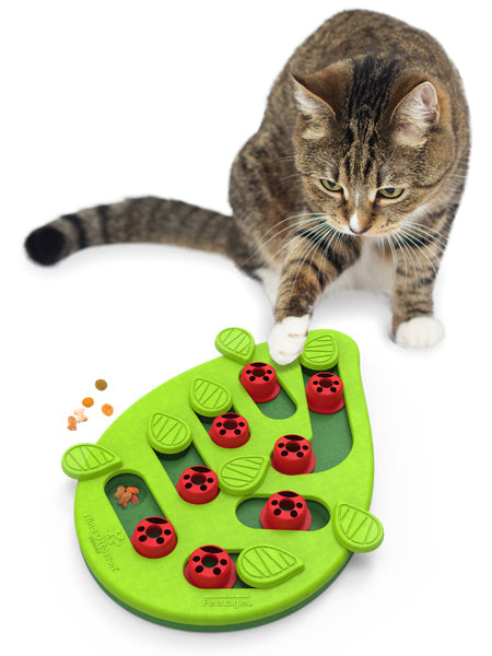 Outward-hound-jouet-interactif-puzzle-pour-chat-BugginOut