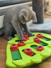 Outward-hound-jouet-interactif-puzzle-pour-chat-BugginOut