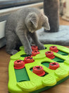 Outward-hound-jouet-interactif-puzzle-pour-chat-BugginOut