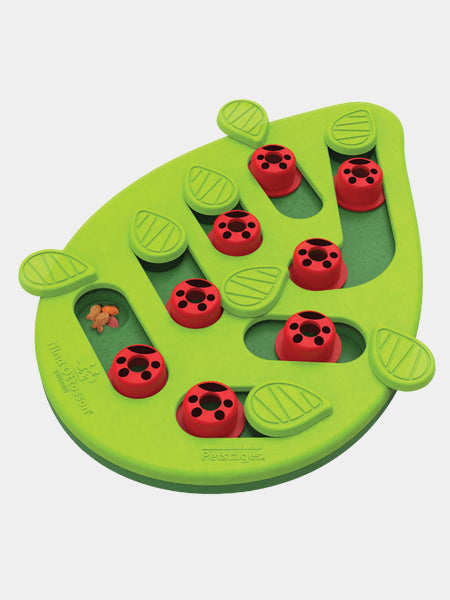 Outward-hound-jouet-interactif-puzzle-pour-chat-BugginOut