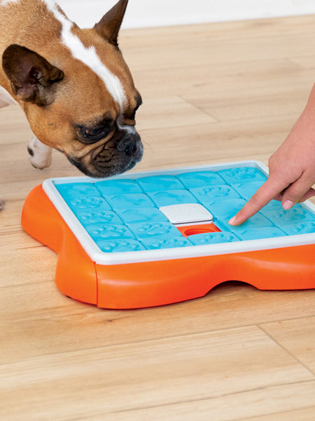 Outward-hound-jouet-interactif-puzzle-pour-chien-ChallengeSlider