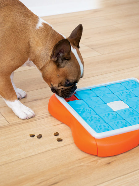 Outward-hound-jouet-interactif-puzzle-pour-chien-ChallengeSlider