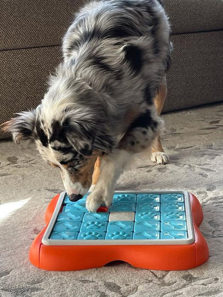 Outward-hound-jouet-interactif-puzzle-pour-chien-ChallengeSlider