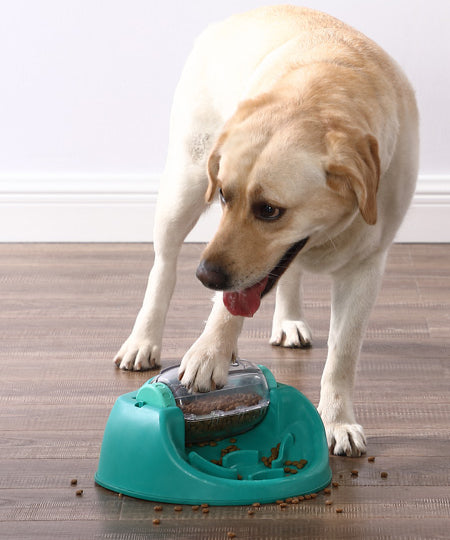     Outward-hound-jouet-interactif-puzzle-pour-chien-Dog-Spin-Eat