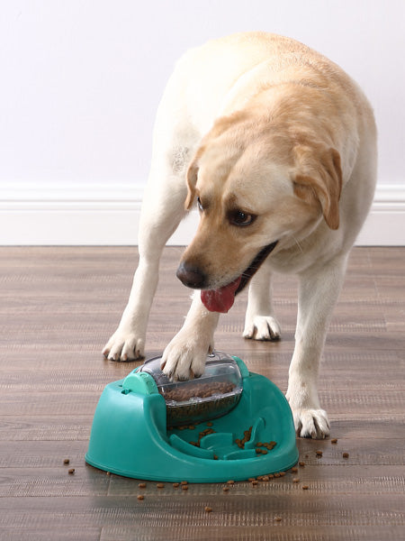     Outward-hound-jouet-interactif-puzzle-pour-chien-Dog-Spin-Eat