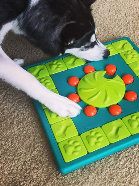 Jouet interactif pour chien - MultiPuzzle - Niveau 4 Nina Ottoson