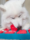 Outward-hound-jouet-interactif-puzzle-pour-chien-dog-brick