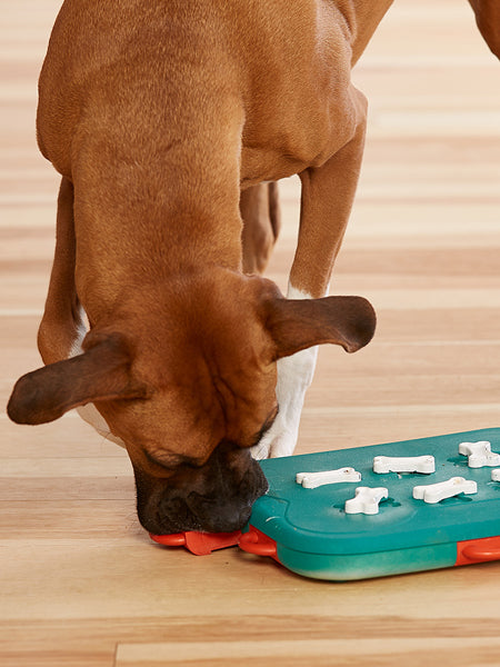Outward-hound-jouet-interactif-puzzle-pour-chien-dog-casino