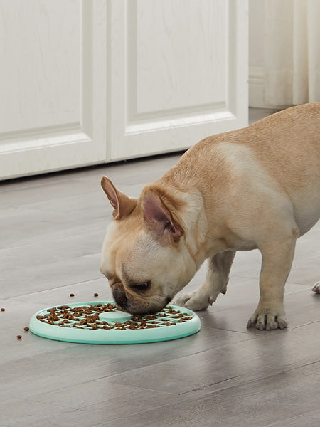        Outward-hound-jouet-interactif-puzzle-pour-chien-fun-feeder-slow-tray