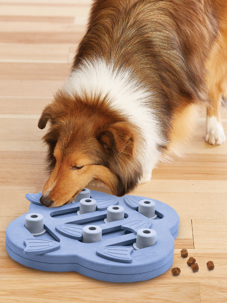 Outward-hound-jouet-interactif-puzzle-pour-chien-hide-n-slide
