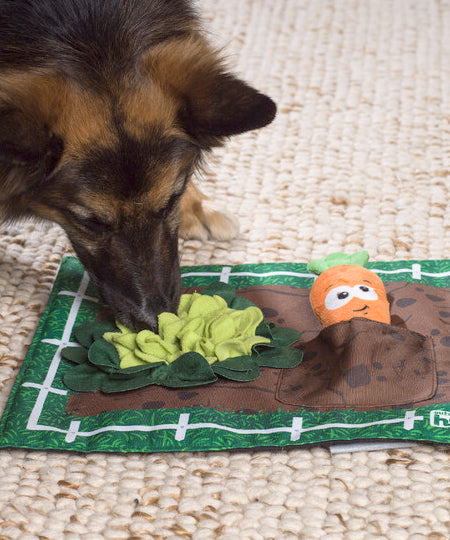       Outward-hound-tapis-fouille-puzzle-chien-Activity-Matz-garden