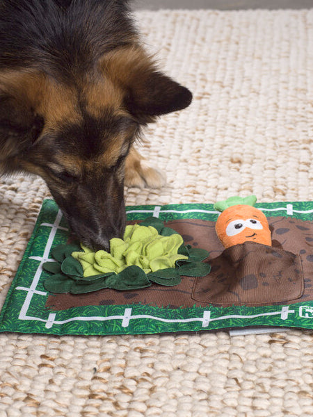       Outward-hound-tapis-fouille-puzzle-chien-Activity-Matz-garden