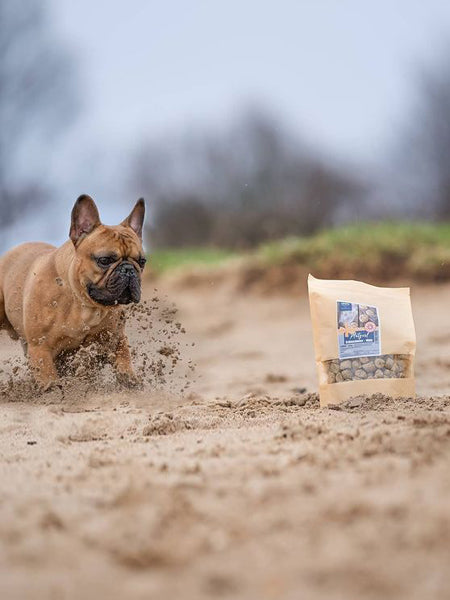        PAUL-PAULINA-friandise-education-naturelles-chien-fit-fun