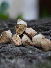     PAUL-PAULINA-friandise-mastication-naturelles-chien-biscuit-beurre-cacahuete