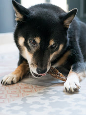       inooko-friandises-chien-naturelles-oesophage-boeuf