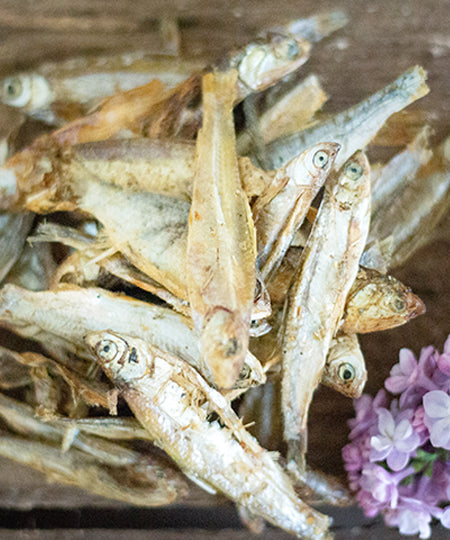       PAUL-PAULINA-friandise-mastication-naturelles-chien-omena