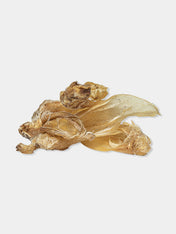     PAUL-PAULINA-friandise-mastication-naturelles-chien-oreilles-agneau