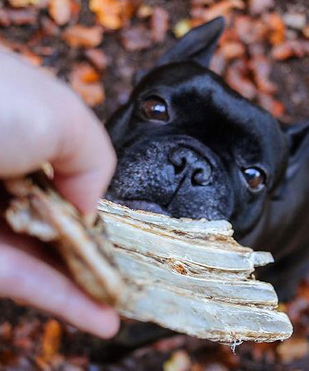        PAUL-PAULINA-friandise-mastication-naturelles-chien-ribs-gibier