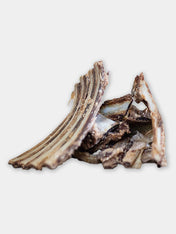        PAUL-PAULINA-friandise-mastication-naturelles-chien-ribs-gibier
