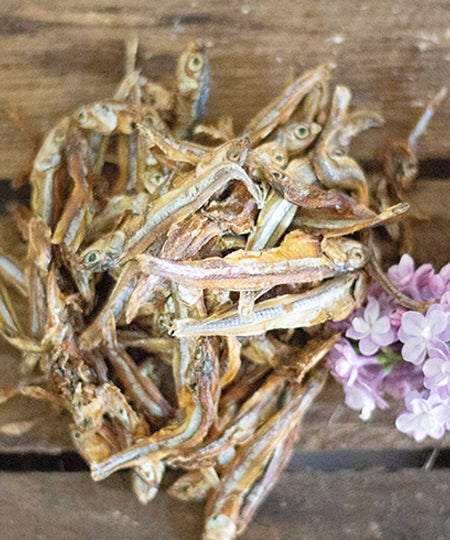     PAUL-PAULINA-friandise-mastication-naturelles-chien-sprats