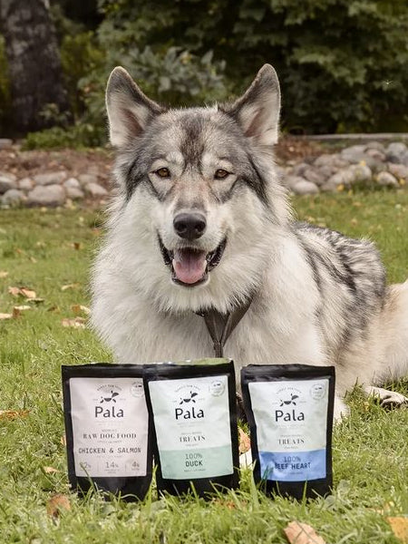        Pala-pet-food-friandises-premium-nordique-pour-chien-dinde