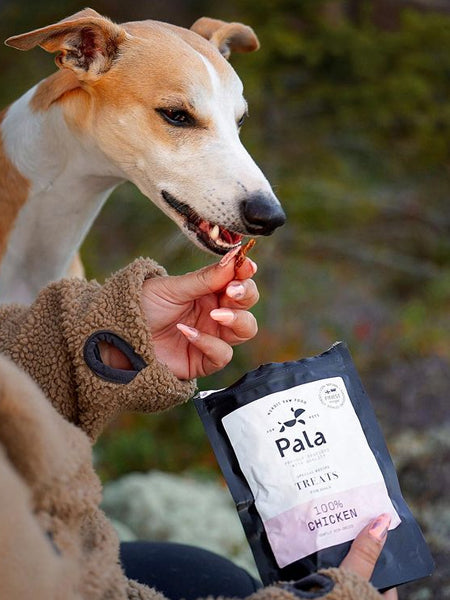       Pala-pet-food-friandises-premium-nordique-pour-chien-poulet