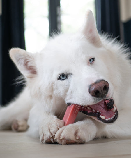     Pawfect-barre-yak-fraise-pour-chien-vegan