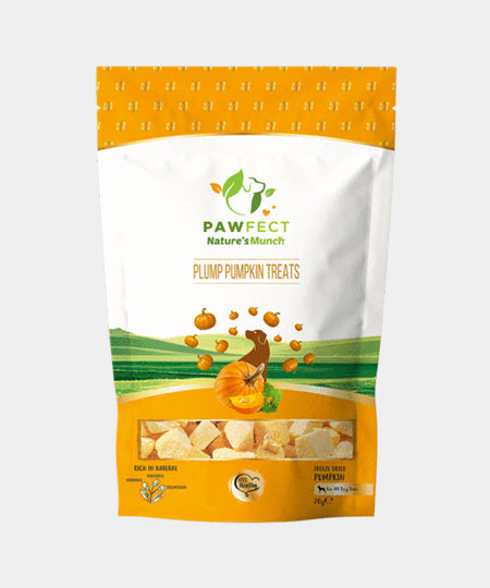       Pawfect-friandise-pour-chien-vegan-citrouille
