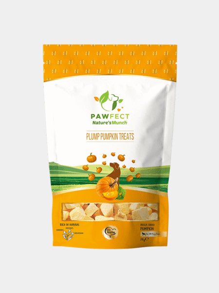       Pawfect-friandise-pour-chien-vegan-citrouille