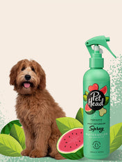     Pet-head-shampoing-pour-chien-Spray-demelant-pasteque-Pet-Head-300-ml