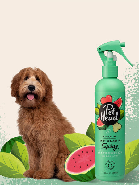     Pet-head-shampoing-pour-chien-Spray-demelant-pasteque-Pet-Head-300-ml