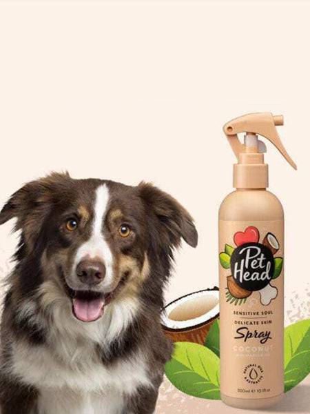 Pet-head-shampoing-pour-chien-shampoing-noix-coco-Pet-Head-300-ml